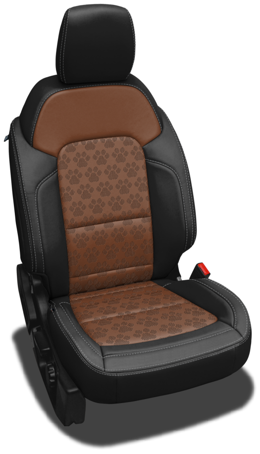 Paws Perf Ford Bronco